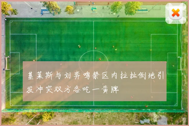 基莱斯与刘弈鸣禁区内拉扯倒地引发冲突双方各吃一黄牌