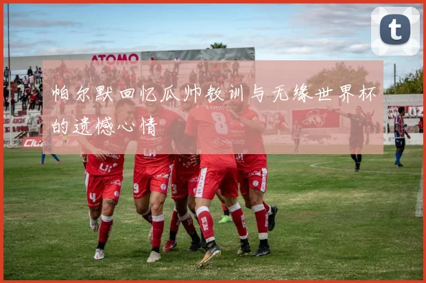 帕尔默回忆瓜帅教训与无缘世界杯的遗憾心情